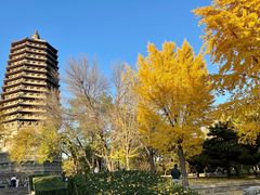 -玲珑塔公园