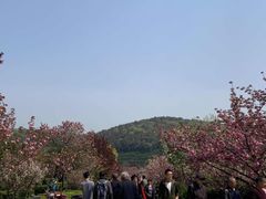 -无锡市乌鹤山公墓办事处