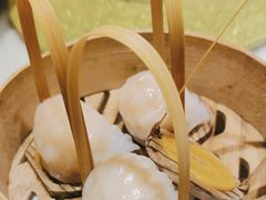 -金鼎轩(方庄天坛店)