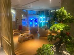 -水立方国际汤泉(六一中路店)