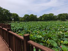 -高淳老街