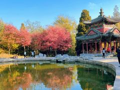 -香山公园