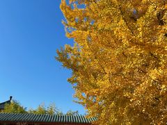 -中国农业博物馆