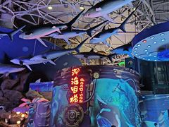 -烟台海昌鲸鲨海洋公园