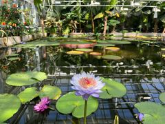 -国家植物园南园