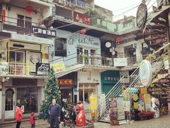 -猫咪博物馆(顶澳仔猫街店)