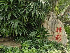 -晓港公园