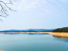 -广州市流溪河国家森林公园
