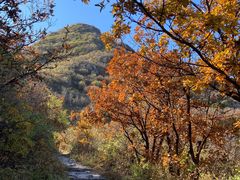 -阳台山自然风景区