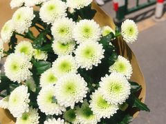 -双季花艺园艺市场(浦东店)