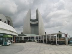 -野狸岛