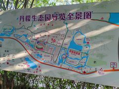 -丹樱生态园