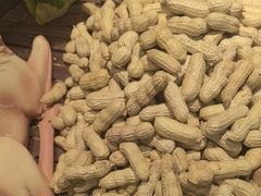 -厨掌柜长寿菜馆(古镇店)