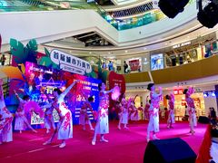 -上海颛桥万达广场