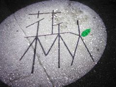 -花楸树下(观水路店)