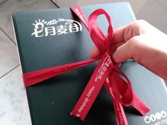 -维尔纳斯·生日蛋糕·动物奶油冰淇淋蛋糕(六里桥店)