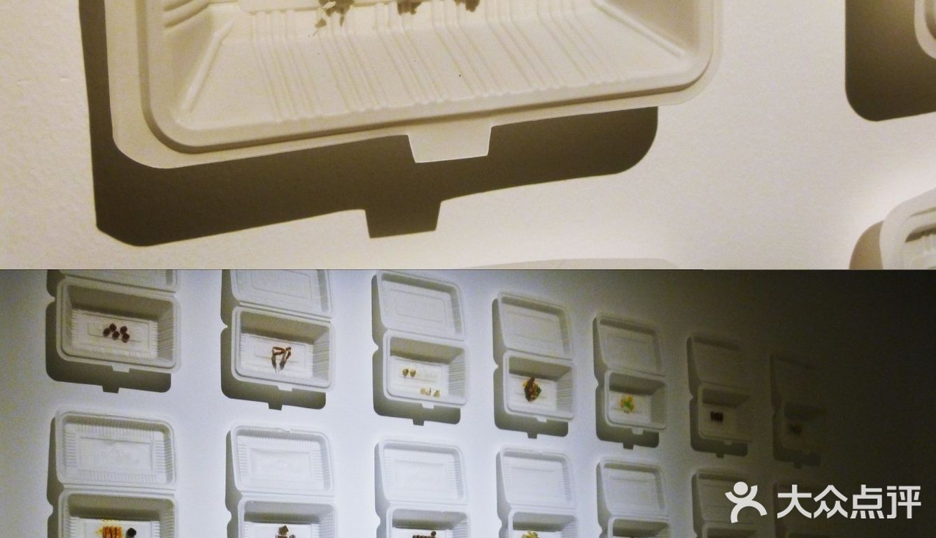 这次展不用门票，坐标原美术馆  作品雨伞的直径是1