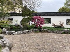 -上海醉白池公园