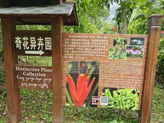 -西双版纳傣族园