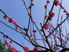 -西湖公园(鼓楼区)