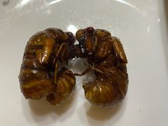-胖太太四川麻辣排骨串(镇江路分店)