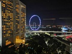 -新加坡文华东方酒店