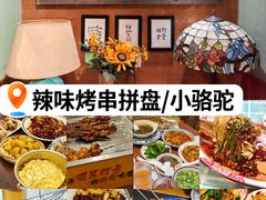 -福苗小骆驼烧烤(莲湖路店)
