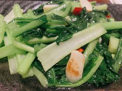 素炒苦凉菜-紫滇源云南生态菜(丹凤街店)