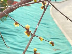 -丰台花园
