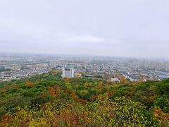 -杭州半山国家森林公园