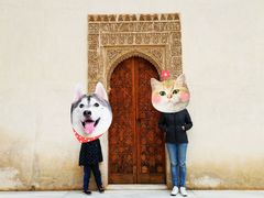 -阿尔罕布拉宫