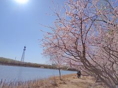 -大兴滨河森林公园