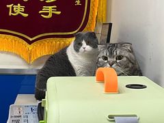 -宠福鑫动物医院(立水桥分院)