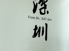 -Free Sky 云际观光层