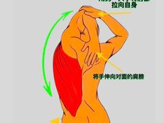 -锐动健身游泳(博地中心店)