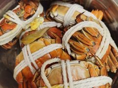 -阳澄湖大闸蟹·琼灵阁牌品牌连锁(吴中总店)