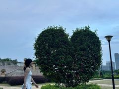 -东莞植物园