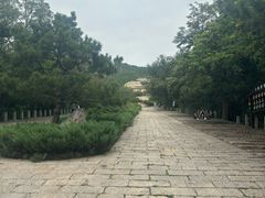 -府君山公园