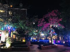 -中旅阿那亚九龙湖·公主酒店