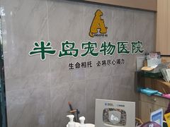-半岛宠物医院24小时(科华中路店)