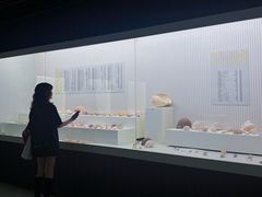 -青岛贝壳博物馆