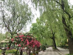 -天赐温泉