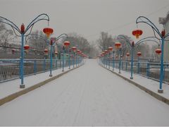 集发农业观光园-北戴河集发农业梦想王国