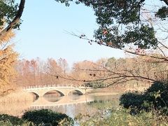 -虎丘湿地公园