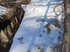 -终南山南五台景区