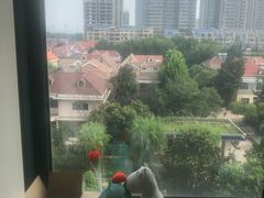 -台儿庄古城