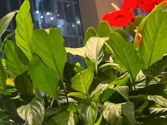-渝信川菜 · 川味家常菜(财富购物中心店)