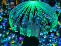 -天津梵高星空艺术馆(天河城旗舰店)