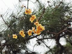 -月坛公园