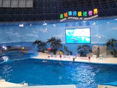 -泉城欧乐堡海洋极地世界